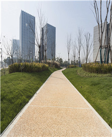 上海临港海洋科技广场露骨料透水路面项目