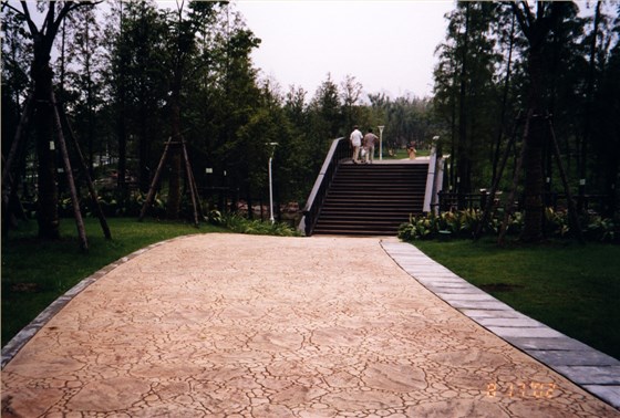 36040800.jpg