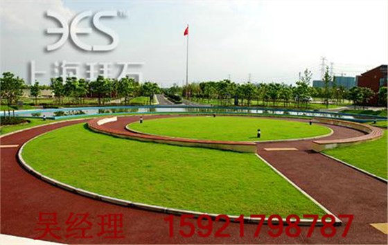 广场-透水路面 广场-透水路面
