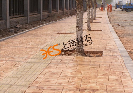 timg (1).jpg timg (1).jpg