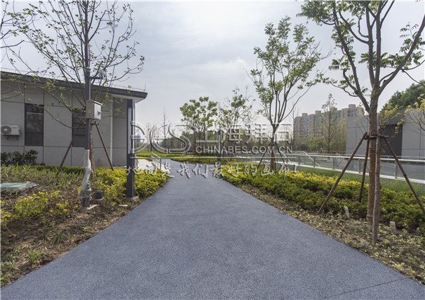 透水路面